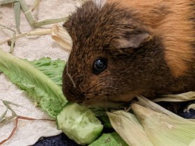 2021-05-11 Charlotte.jpg